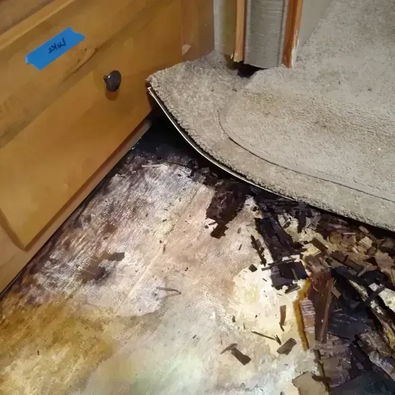 Wood Floor Water Damage in New Buffalo, MI